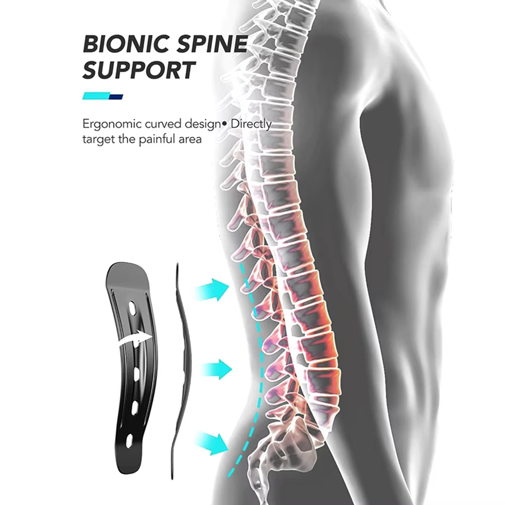 Soporte, faja lumbar 